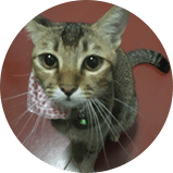 ศักดิ์สิทธิ์ โตโล