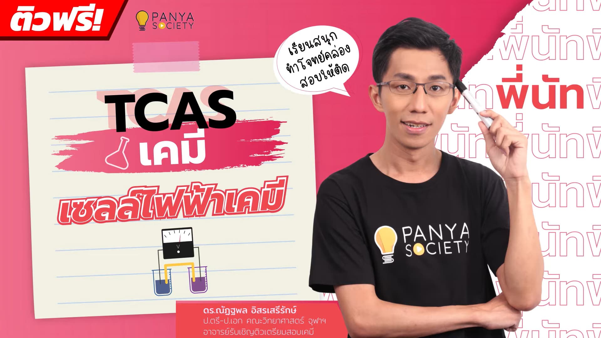 เซลล์ไฟฟ้าเคมี